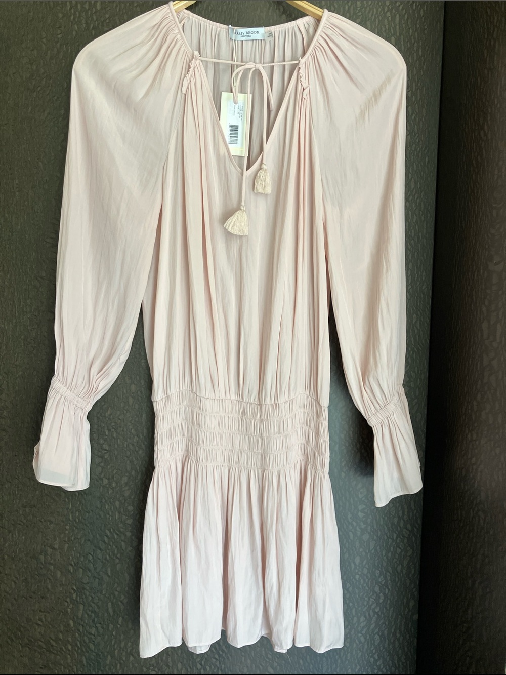RAMY BROOK Lane Mini Dress Blush Long Sleeve, Pleated, Elastic Waist Size M NWT